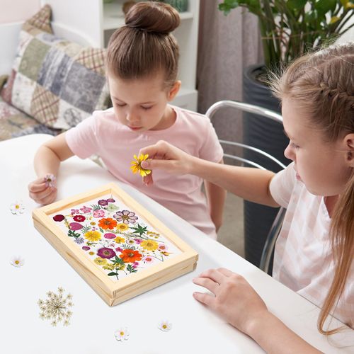 DECHOUS 8Pcs Paper Making Wooden Frame, 5x7" Paper Making Frame Mould Paper Making Screens Bulk Make Paper Wooden Frames for DIY Paper Craft Making