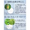 Progno 0-five COOL (Progno Zero Five Cool), Set of 2