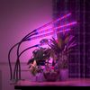 bseah Grow Light Plant Light Indoor Plants (4-Head)