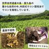 春ウコン300粒 4個セット
