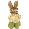 Northlight Rustic Boy Rabbit with Carrot Standing Easter Figure - 13.75" - Brown and Yellow