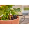 GARDENA 13401-20 Micro Drip Sprinkler System for Balcony (15 Strains) Starter Set