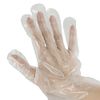 Baumgartens Plastic Disposable Economy Medium-Weight Gloves, Large Size, Clear, Pack of 100