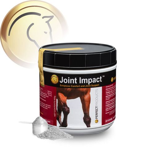 Perfect Company Joint Impact, Daily Joint Support for Horses, Show Safe Powder, (600 g/Approx. 30 Doses)