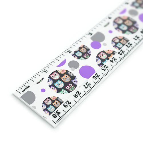 Colorful Owls Cute Pattern 12 Inch Standard and Metric Plastic Ruler