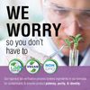 Solaray Grape Seed Extract 200 mg Plus Bioflavonoid Complex | 60 VegCaps