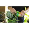 453g Shake n Feed All Purpose Plant Fertilizer