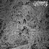 Palace Of Vision [VINYL]