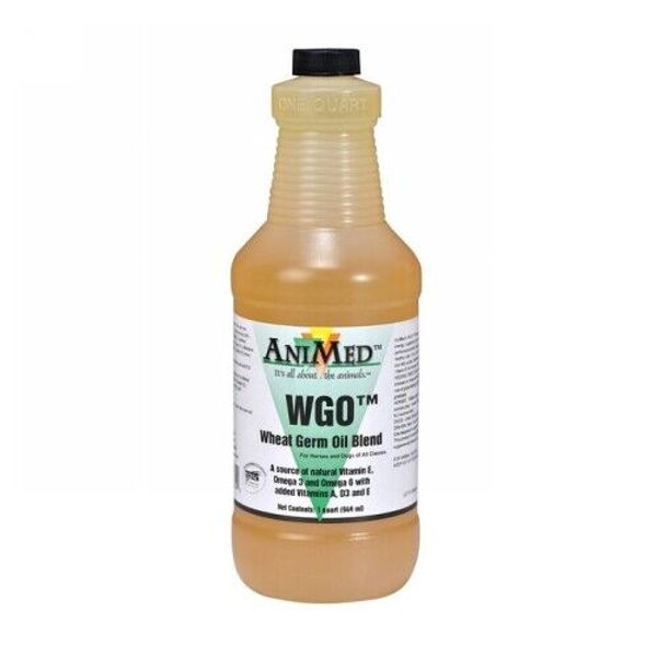 Wheat Germ Oil Blend 1 Count By Animed