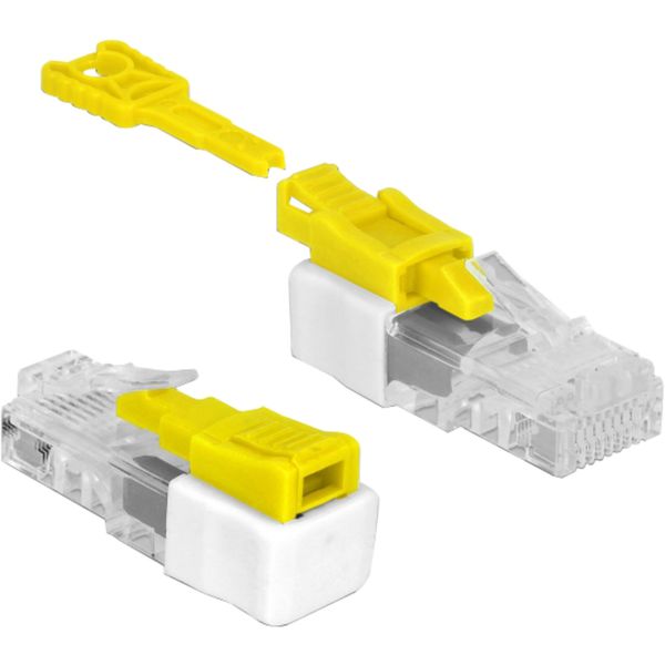 Delock network RJ45 Secure jack Set 5 Stk.