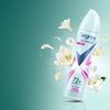 Degree Antiperspirant Deodorant Dry Spray Sheer Powder Deodorant for Women 3.8 oz