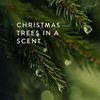 Thymes Travel Tin Holiday Candles - Scented Candles for Home Decor - Winter Scents - Christmas Gifts - Luxury Home Fragrance Gifts for Women & Men - Gold (Frasier Fir, 2.5 oz)
