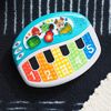 Discover & Play Piano Musical Toy