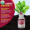 Toplux Organic Beet Root Tablets-Nitric OxideBooster Beetroot Supplement 2040mg