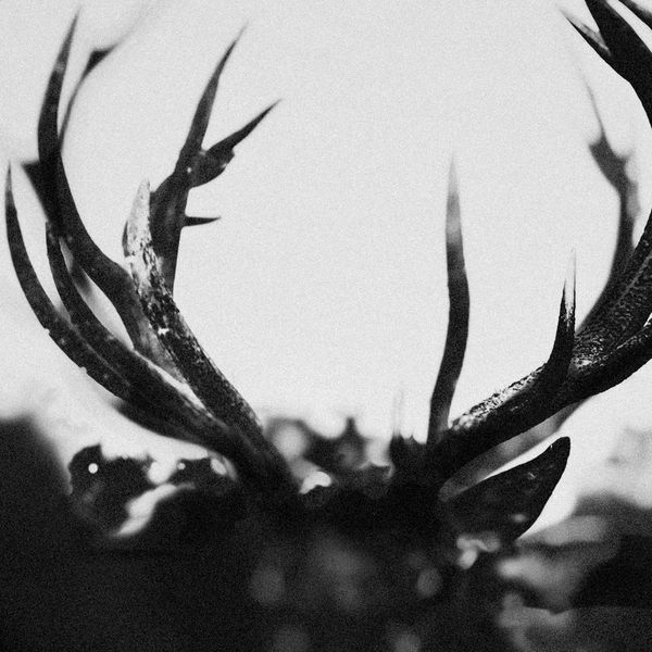 IHSAHN - Black Yolk