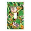 GRAPHICS & MORE Red Eyed Tropical Rainforest Frogs Plastic Wall Decor Toggle Light Switch Plate Cover