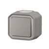 Legrand - Plexo 10A waterproof two-way or two-way switch delivered complete for mounting in grey