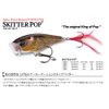 Rapala Skitter Pop Lure with Two No. 5 Hooks, Surface Swimming Depth, 7 cm Size, Chrome