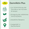 cdVet GutActive Plus, 100 ml