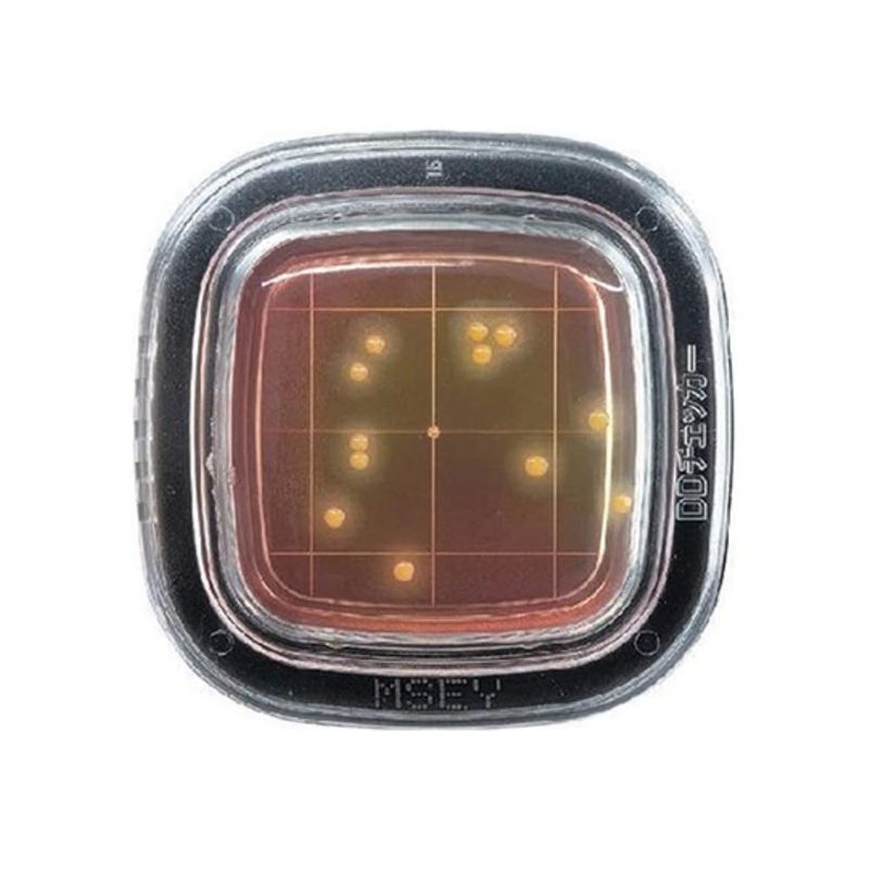 Eiken Chemical PD0009 Flat Check® DD MSEY Agar Culture Media - Online ...