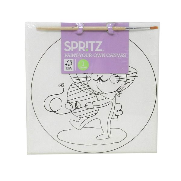 Spritz Paint Your Own Canvas Painting Set