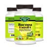 Bacopa Extract, Supports Memory, Focus, Learning, Stress Control