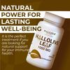 HallOlive leaf Extract 1000 mg - Immune Support - Herbal Supplements - 60 Caps