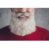 Hairgum Detangling Beard Oil 40 ml