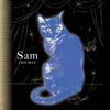 CHAT BLEU