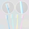 disposable toothbrush, delicate toothbrush bulk, toothbrush in bulk, 4 colors, individually packaged, bulk toothbrush and toothpaste sets are suitable use at hotel, home, travel, camping (40 pieces)