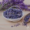 Absolute Aromas Lavender (French) Essential Oil 10ml