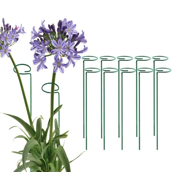 MTB Green 36 inch Single Stem Plant Stakes Flower Support Rings, Pack of 10,Gardening Planter Cages for Single Stem Flowers, Amaryllis,Peony, Lily,Narcissus