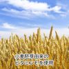Japan direct purchase Nature Kosha Vitamin E bulb 3.2oz (90g) (450mg×205capsules) with bottle