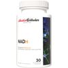 Reduced NAD- 30 Capsules - 150mg PURE NADH