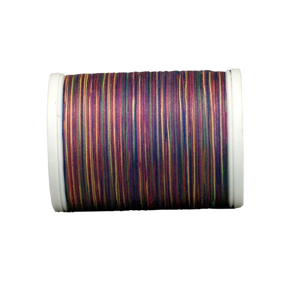 YLI 24450-11V 3-Ply 40wt T-40 Cotton Quilting Variegated Thread, 500 yd, Primary