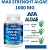 Celulas Madres Madre Cell Plus AFA Biostron Stem Cell Bio cell 10