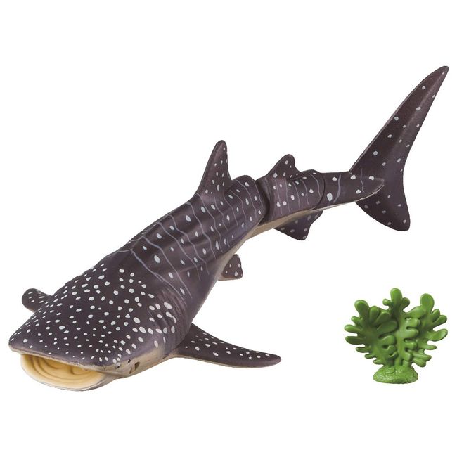 Takara Tomy AL-05 Whale Shark (Floating Ver.) Animal Dinosaur Toy for Ages 3 and Up