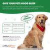 2-Pack Vitamatic Melatonin for Dogs  6 mg  120 Beef Flavored Chewable Tablets