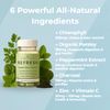 REFRESH – Internal Deodorant Supplement for Odor Control, Skin Health & Confidence Boost