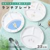 OGISO Peter Rabbit Adventure Lunch Plate (Dishwasher and Microwave Safe)