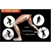 Compression Calf Sleeve Pair (L-XL)