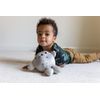 Celestial Buddies Moon Buddy Learning Science Astronomy Space Solar System Educational Plush Stuffed Planet Toy