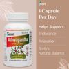 Ashwagandha 100 Capsules/500mg ea.– Natural Supplement