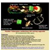 Fender Telecaster Solderless H-H Wiring Upgrade -Easy installation