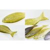 dstyle guilula 2.5" escape fish