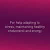 Natural Factors BioCoenzymated Active B Complex, 60 Capsules