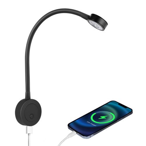 acegoo 12V LED Reading Light, RV Boat Bedside Reading Lamp, 12 Volt Flexible Gooseneck Bed Light for Camper Van Trailer Truck Motorhome, Integral Switch & USB Charger