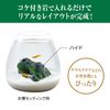Healing Water Scenery Moss Rock Hide