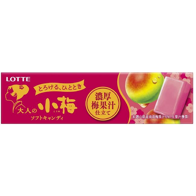 Lotte Adult Koume (Rich Plum Juice) 10 Tablets x 10 Pieces
