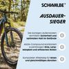 Schwalbe , 11159668